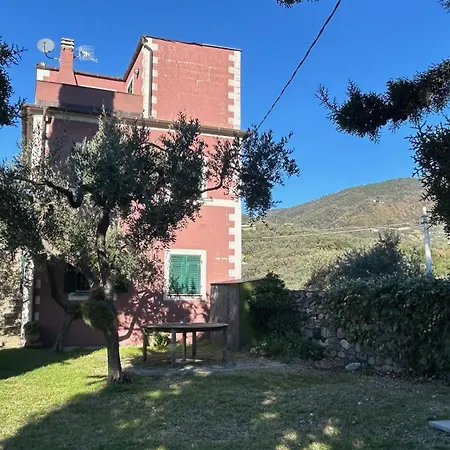 Historical The Birdhouse - Garden Views