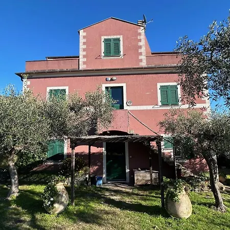 Appartement Historical 'the Birdhouse' With Garden And Views *