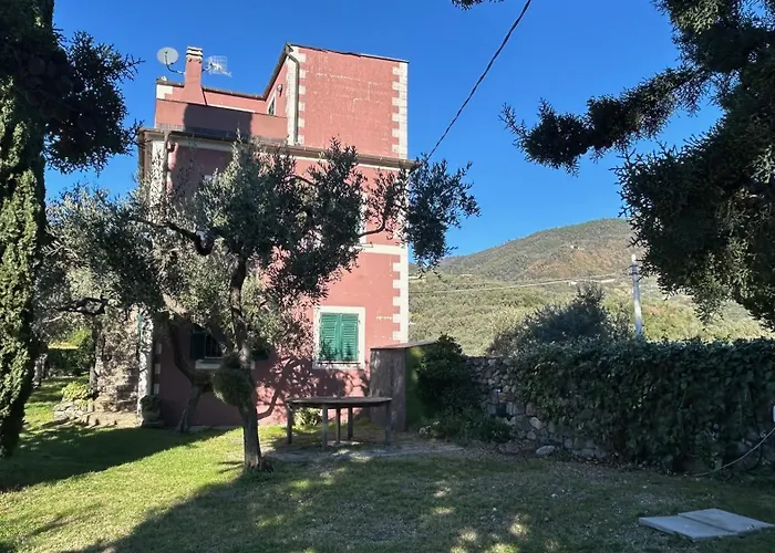 Historical The Birdhouse - Garden Views